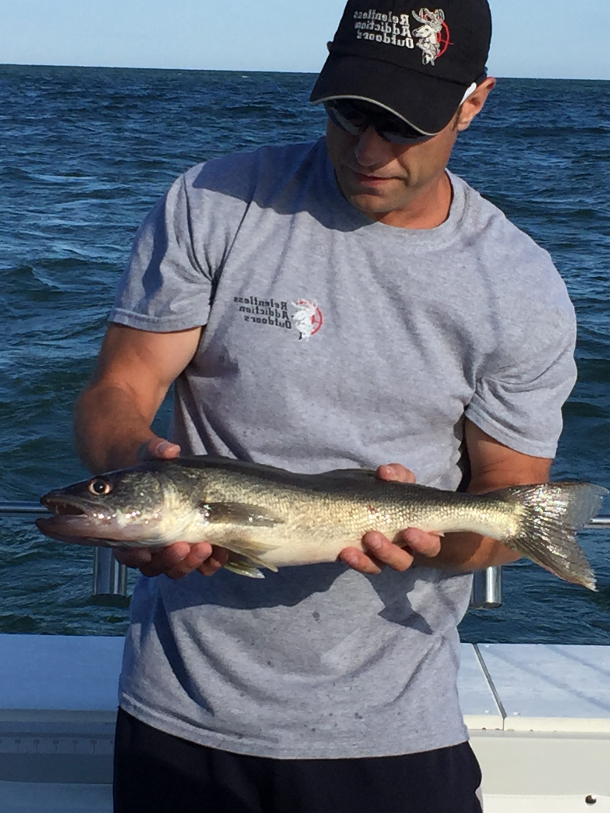 Michigan DNR Encourages Boater Safety Stray Cat Fishing Charters Lake