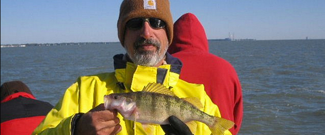 Perch-fishing-Lake-Erie