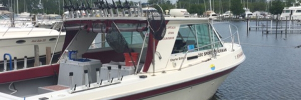 Stray cat fishing charters Clearance