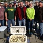 Perch Fishing charter Stray Cat Fishing Charters, near Monroe Michigan