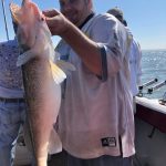 Walleye charter trip Lake Erie Stray Cat Charter Fishing Monroe MI Eric 05-27-19