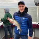 Walleye fishing Lake Erie, Stray Cat Charter Fishing