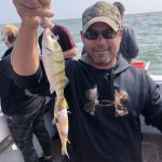 Perch fishing charter Lake Erie Stray Cat Fishing Charter MI