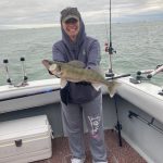 Cathrine Lake Erie Walleye aboard the Stray Cat