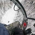 Moose study Michigan