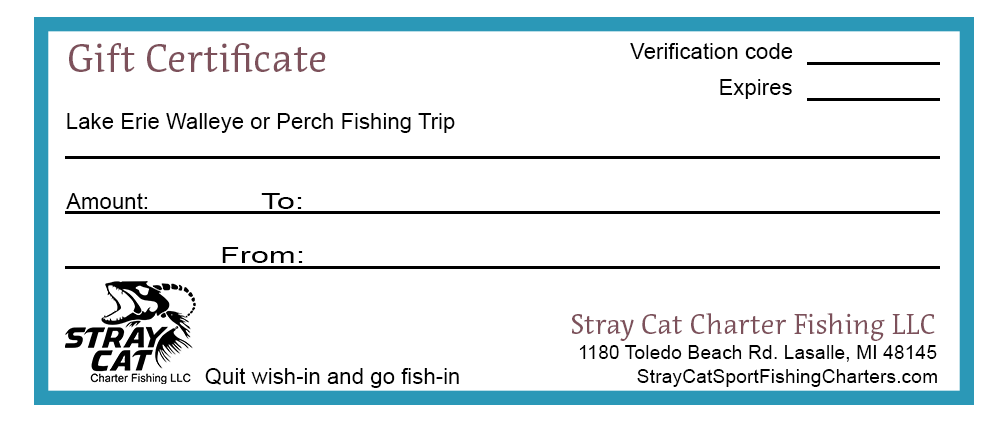 Stray-Cat-Gift-Cert-2026